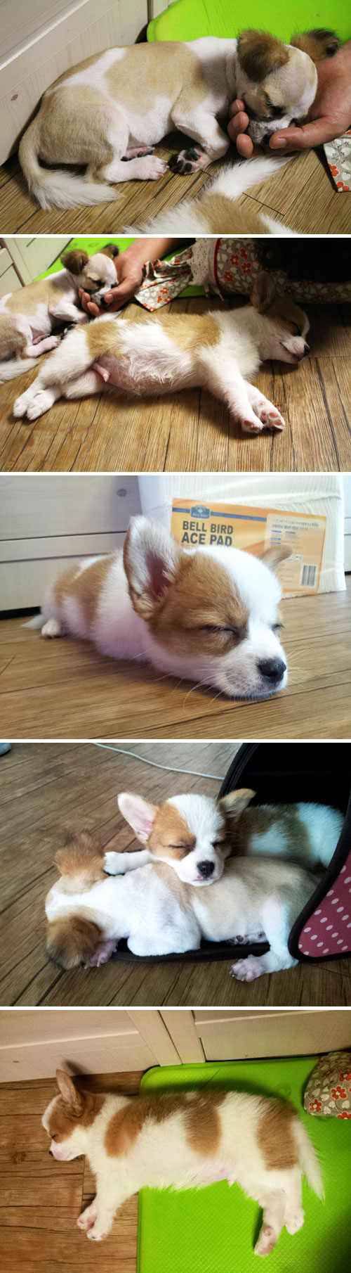 콩다리형제 쭉쭉~ 올라갑니다 ㅋㅋㅋ