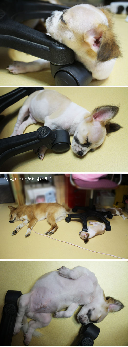 우리는 오늘도 잡니다