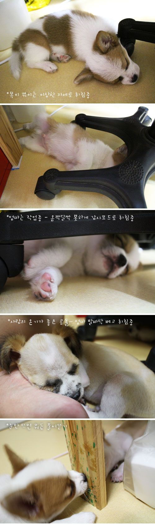 우리는 오늘도 잡니다