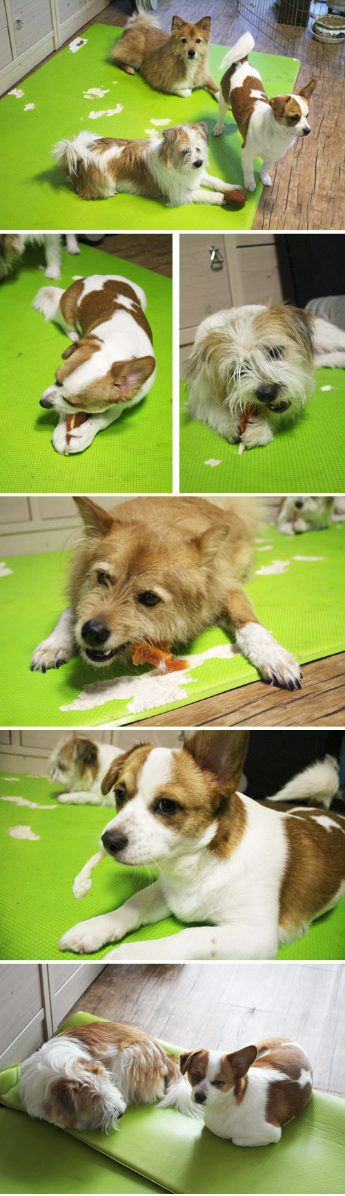 가장 최근 사진 올라갑니다~