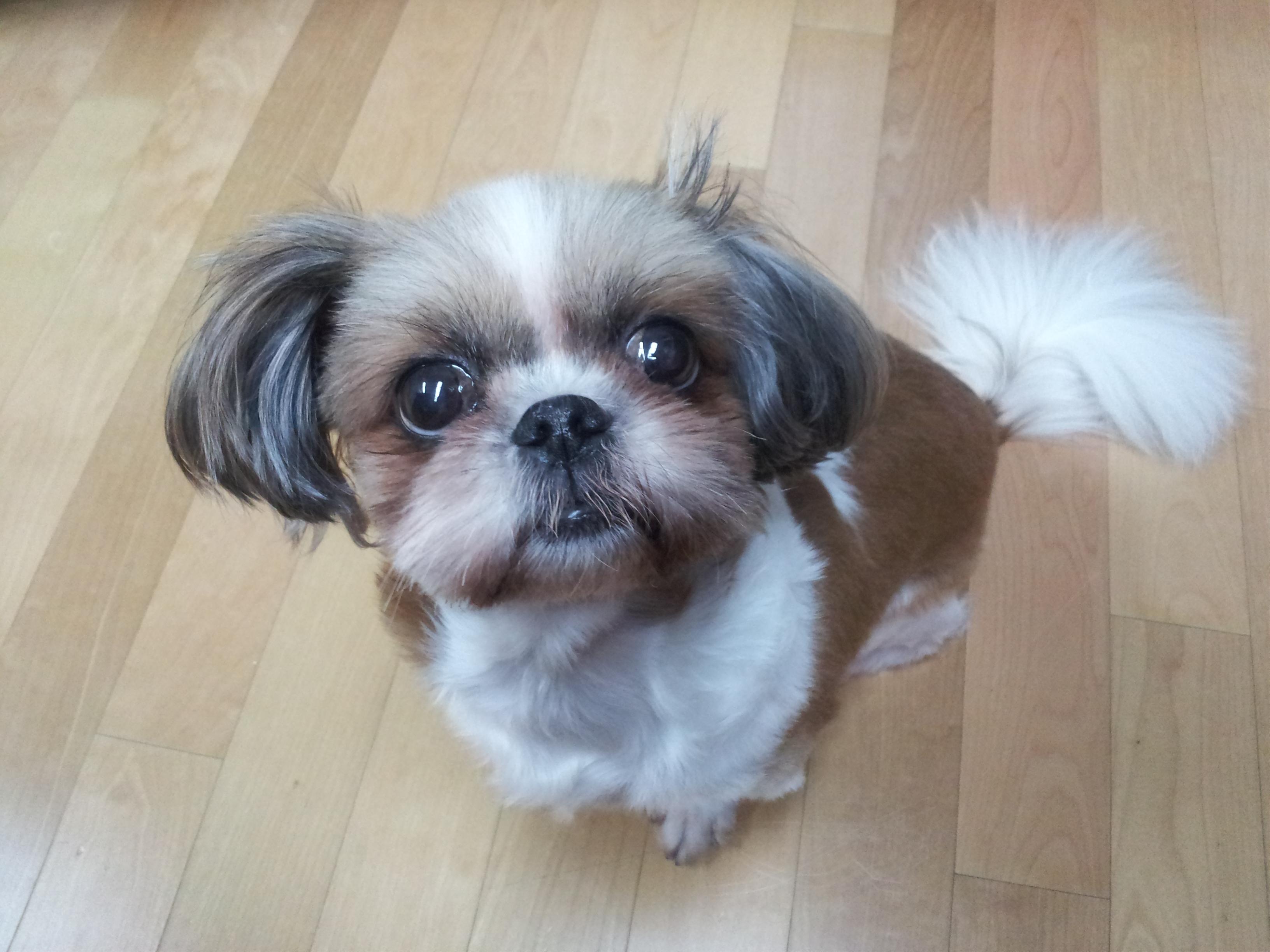 몽이네 입니다(^^)