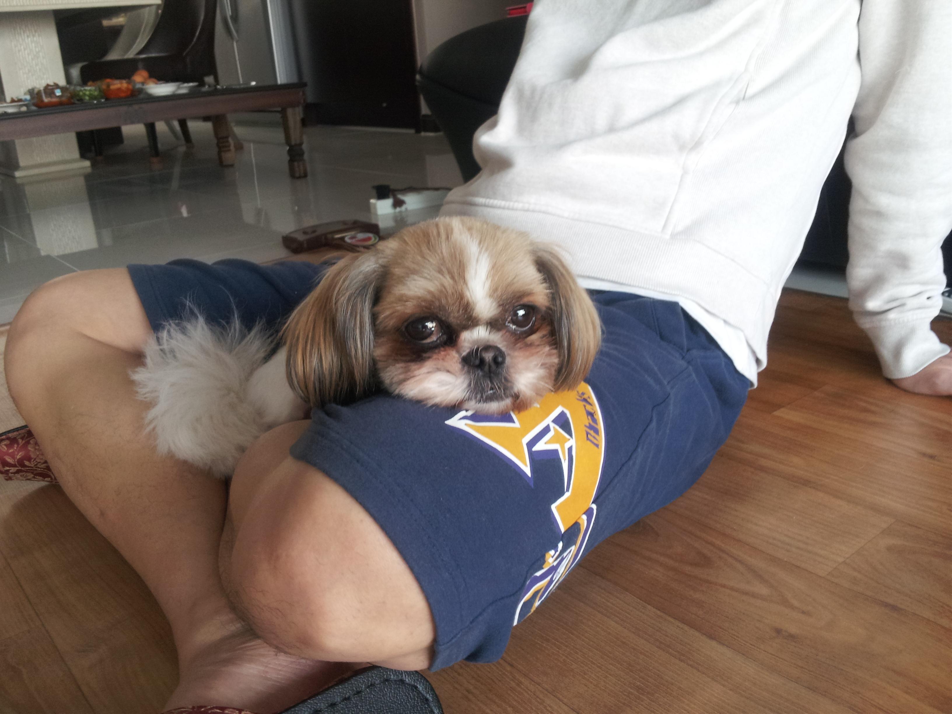 몽이네 입니다(^^)