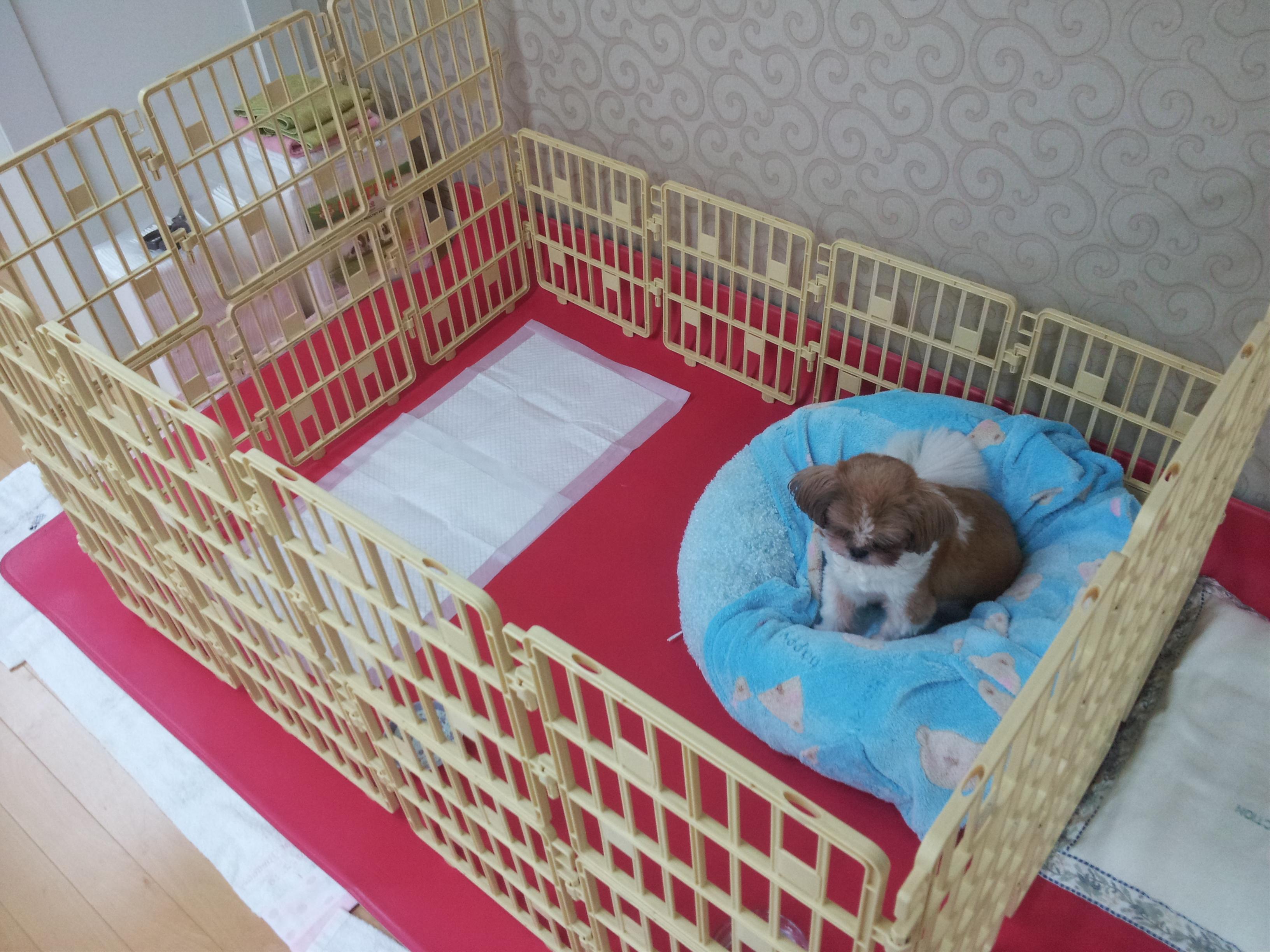 몽이네 입니다(^^)