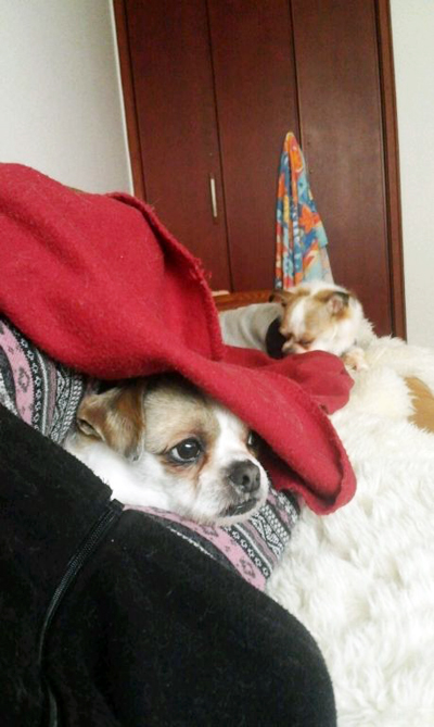 엄마없인 못살아