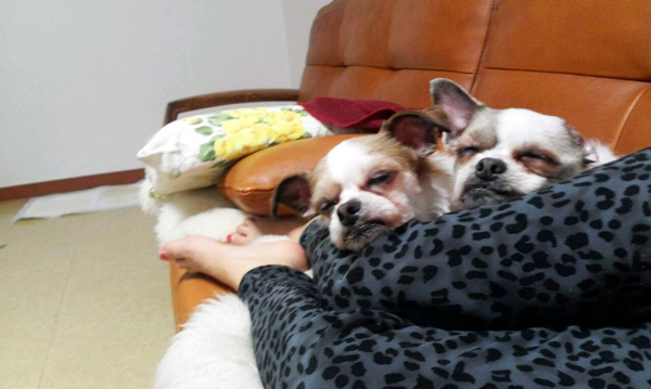 엄마없인 못살아