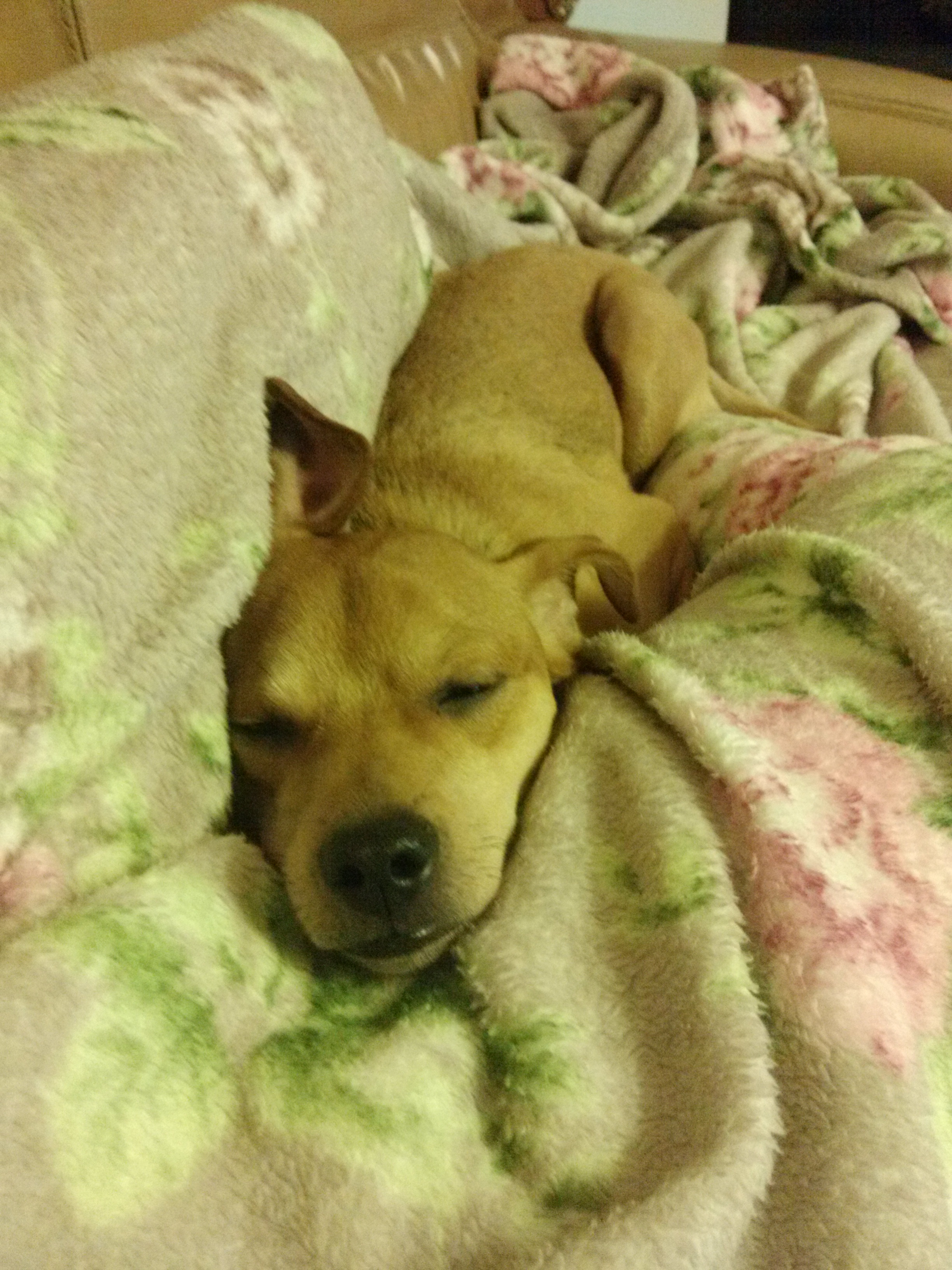 다온이입니다^^