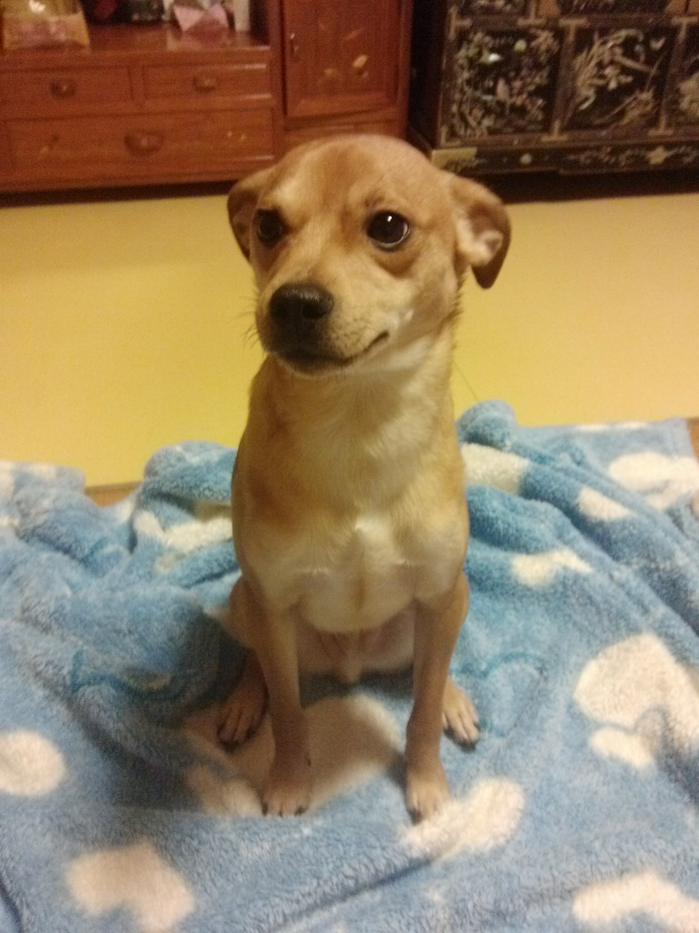 다온이입니다^^