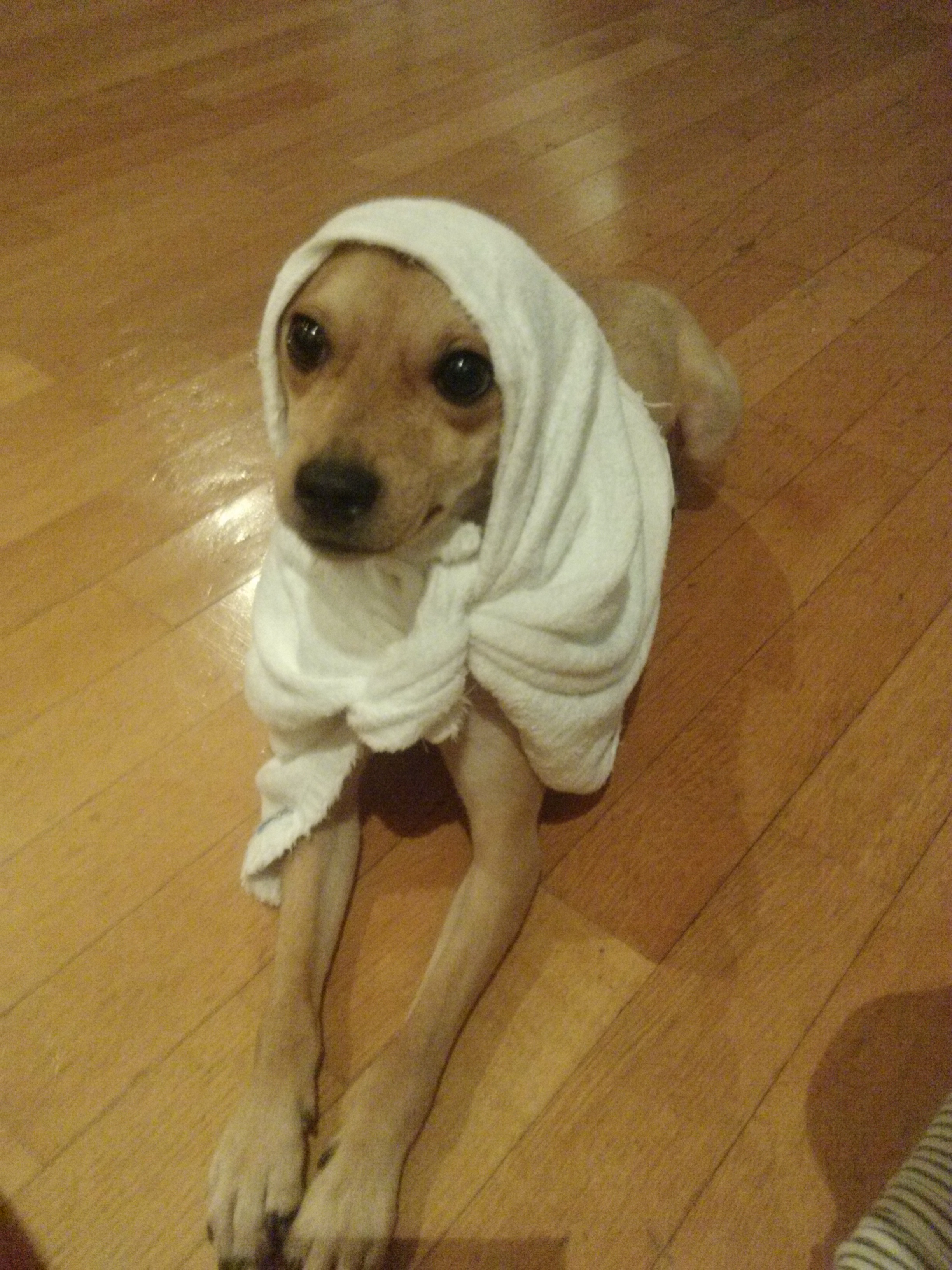 다온이입니다^^