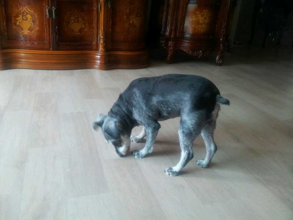 그래도 똥구만 서로 맞대는 시간