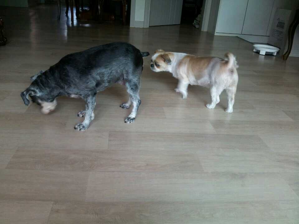 그래도 똥구만 서로 맞대는 시간