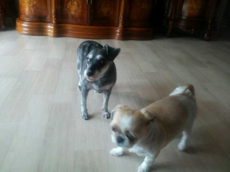 그래도 똥구만 서로 맞대는 시간