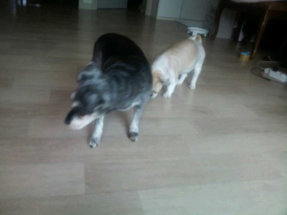 그래도 똥구만 서로 맞대는 시간