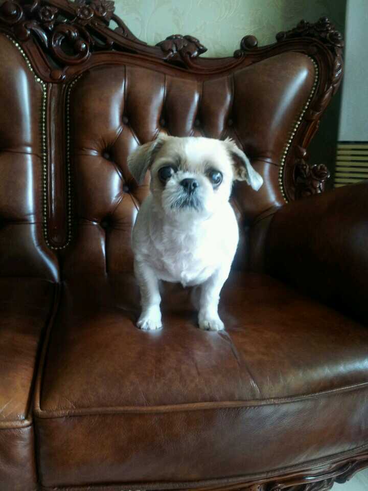 가가이 하기에 너무 먼 두 공주님