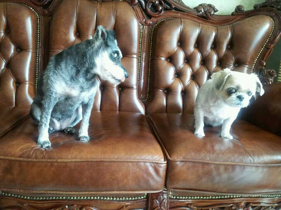 가가이 하기에 너무 먼 두 공주님