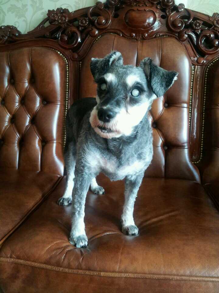 가가이 하기에 너무 먼 두 공주님