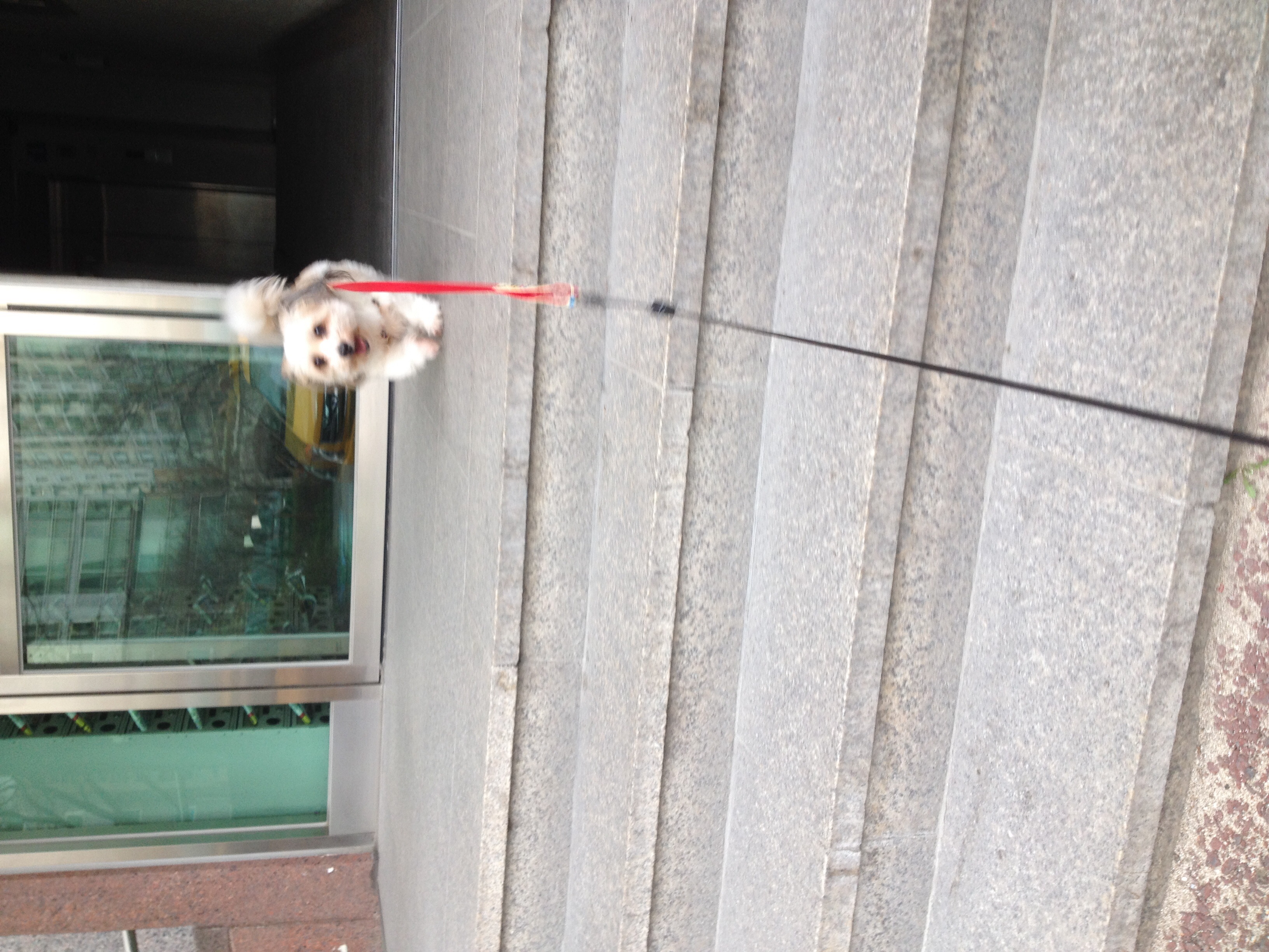 열매 미용했어요~~~