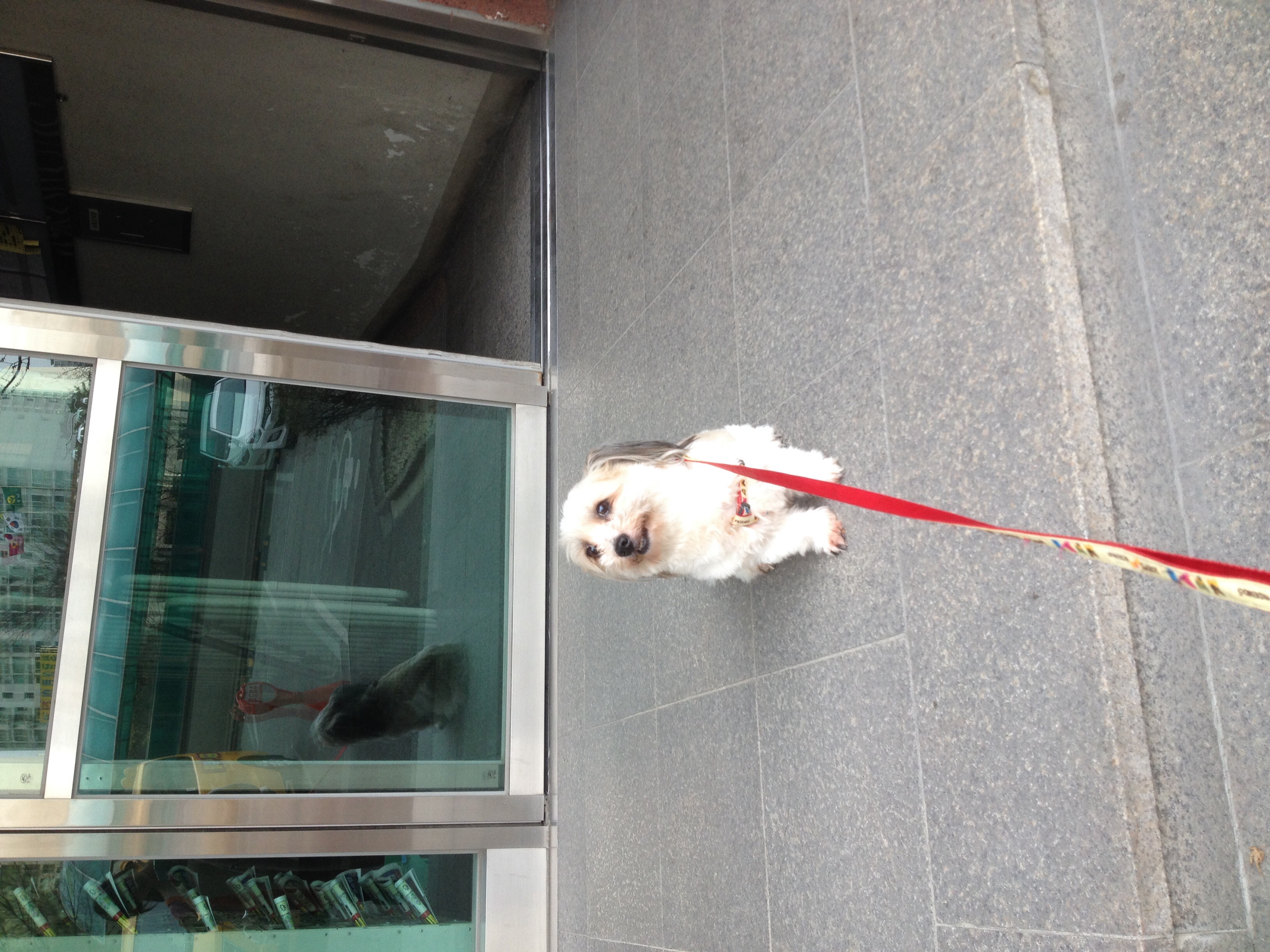 열매 미용했어요~~~