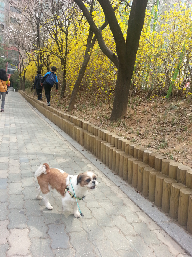 한 달 지난 뭉치 소식~