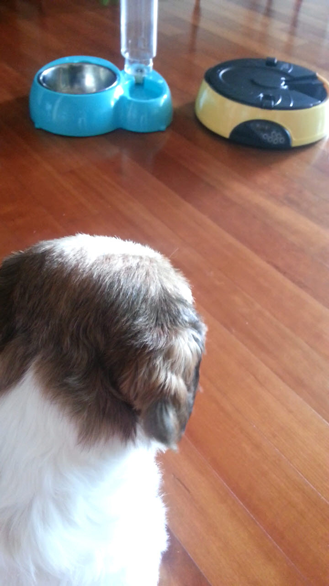 한 달 지난 뭉치 소식~