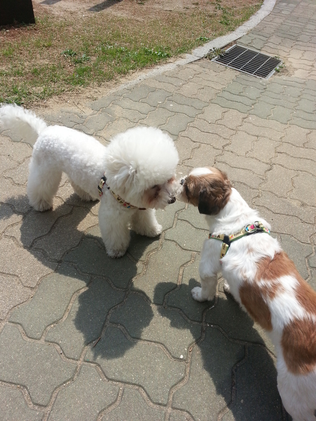 한 달 지난 뭉치 소식~