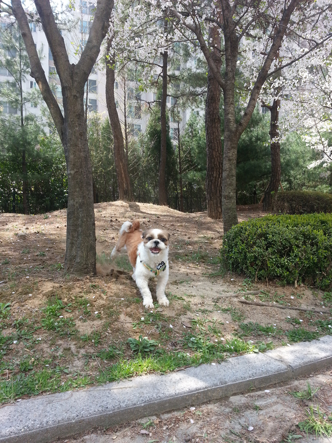 한 달 지난 뭉치 소식~