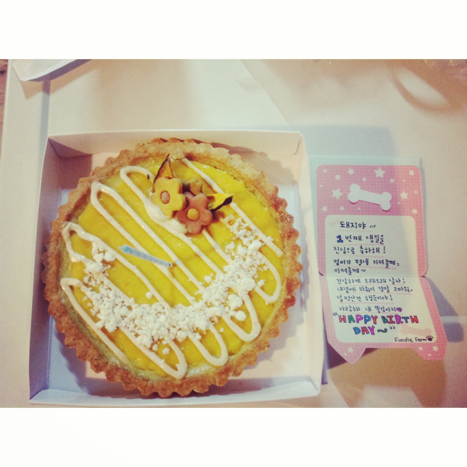 한 살 된 돼지 왔어요!