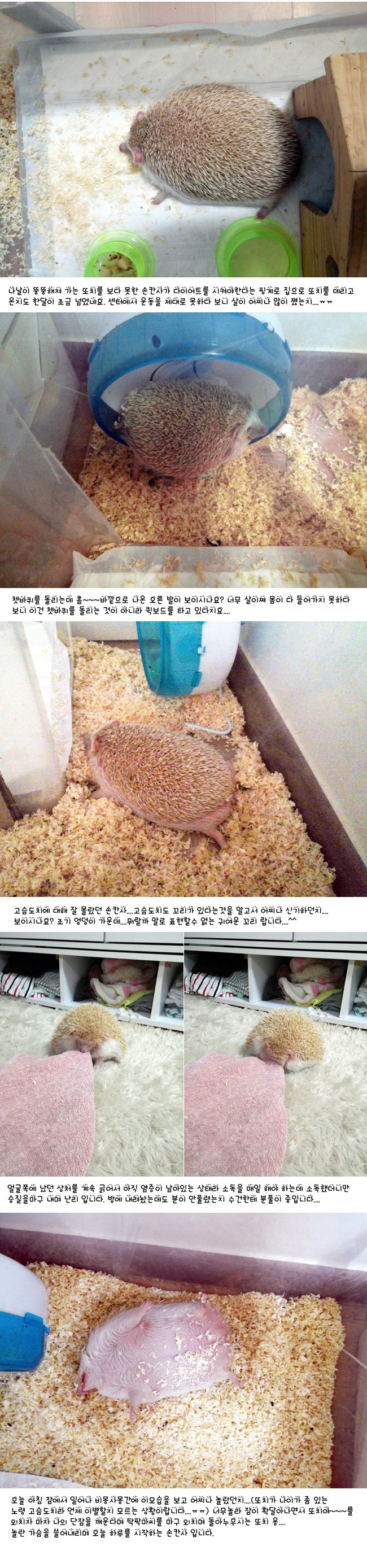 또치야 다이어트 하자....^^