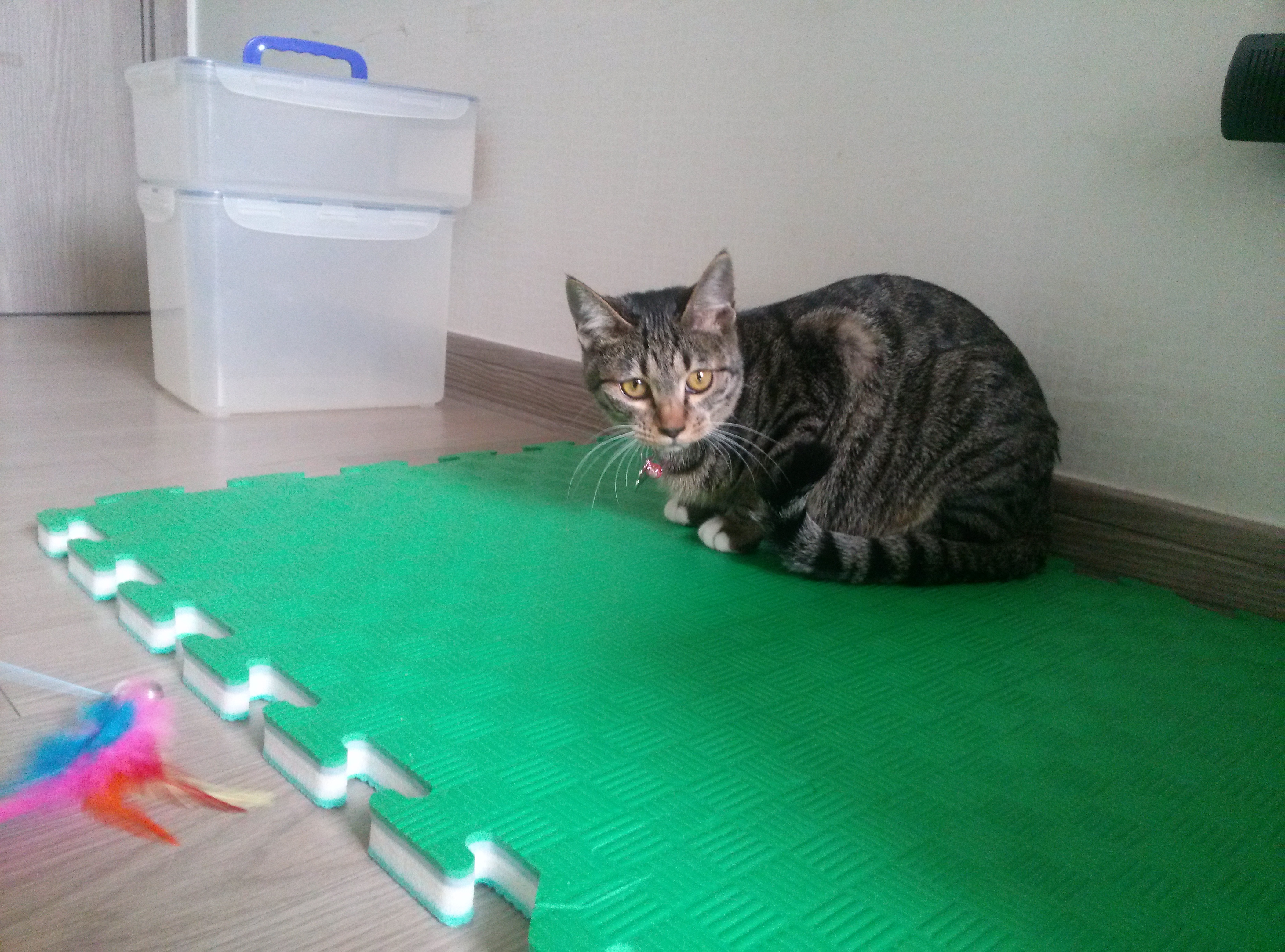 별이와 밤이가된 사랑이와 하랑이