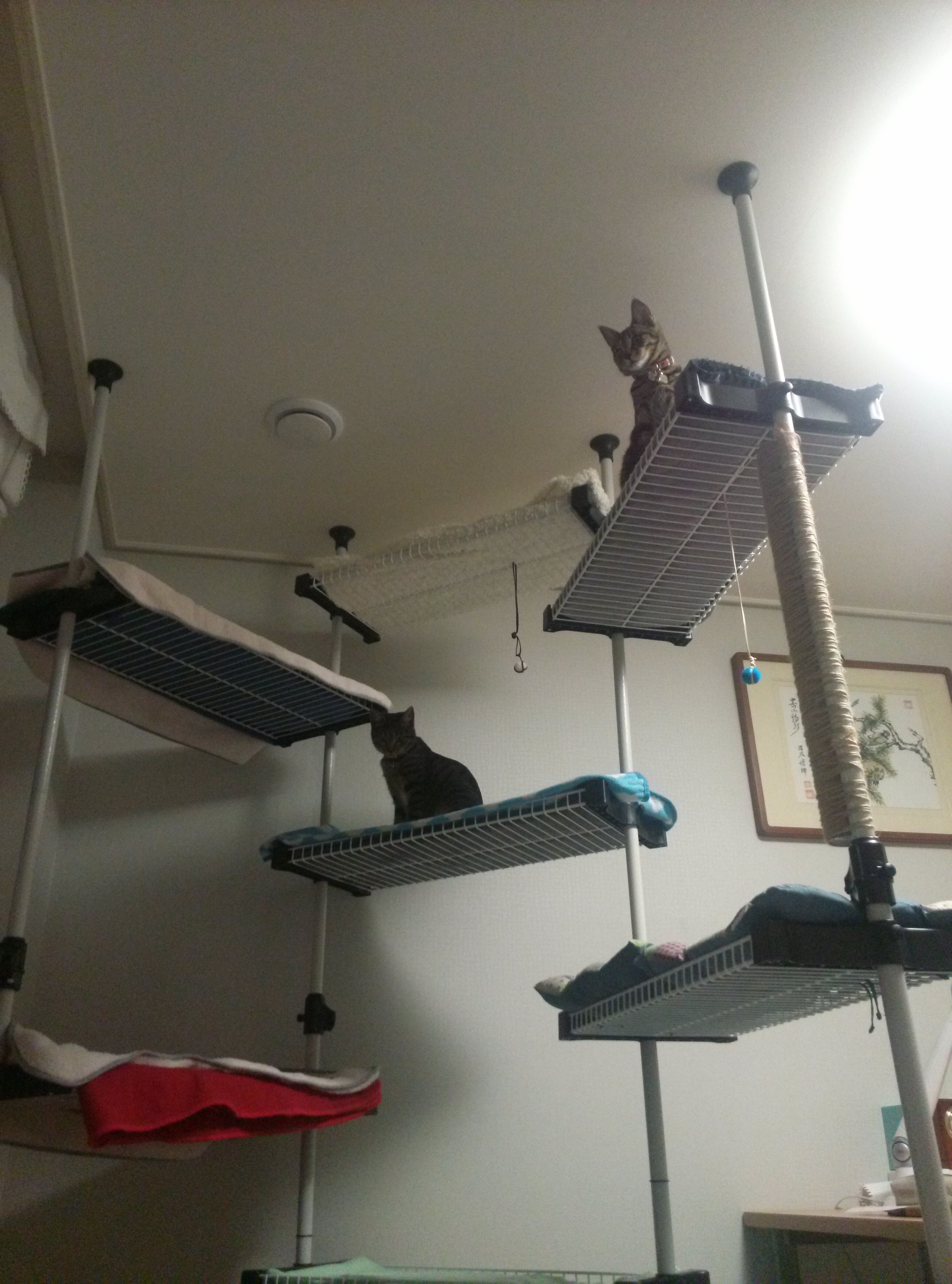 별이와 밤이가된 사랑이와 하랑이