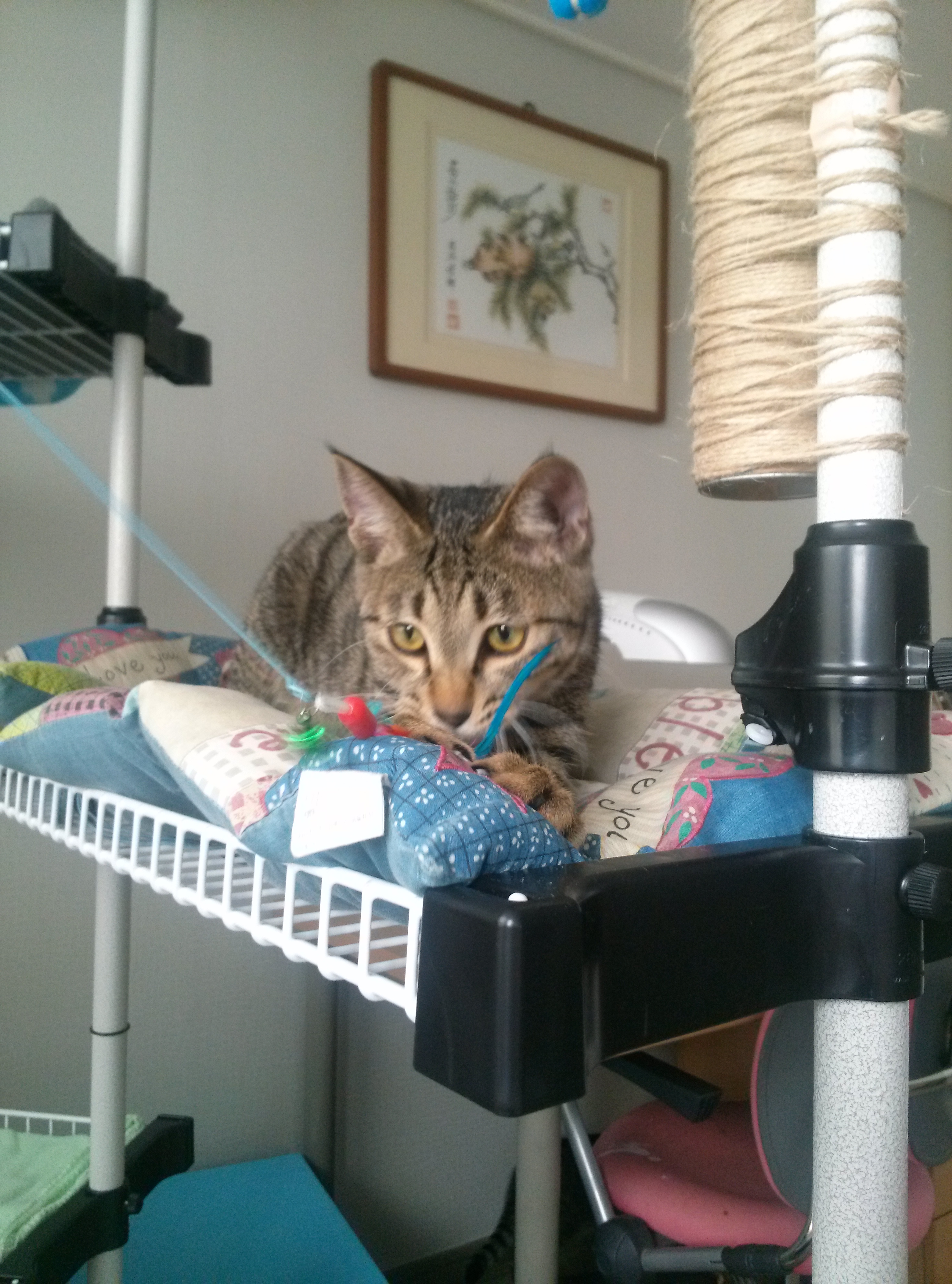 별이와 밤이가된 사랑이와 하랑이