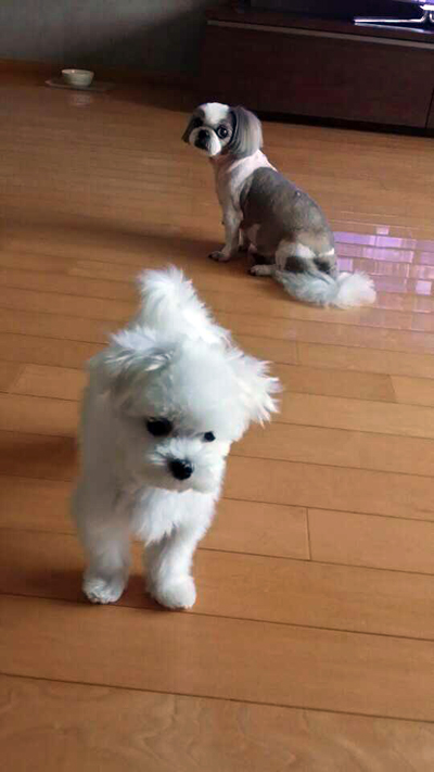 몰라보겠다 은비야~~~~