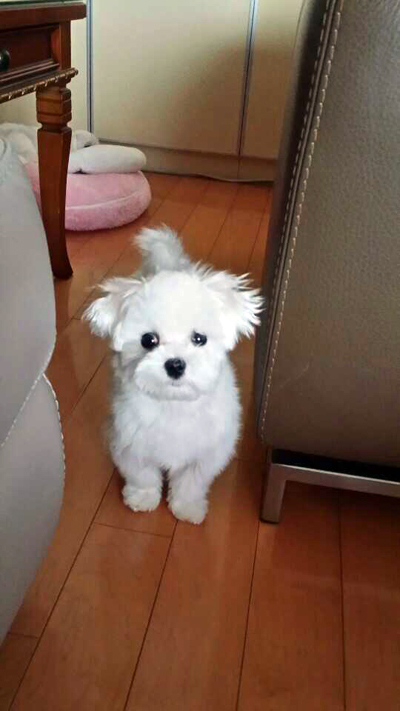 몰라보겠다 은비야~~~~