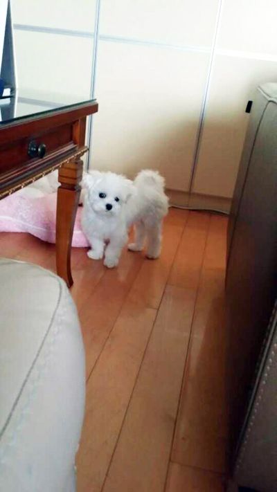 몰라보겠다 은비야~~~~