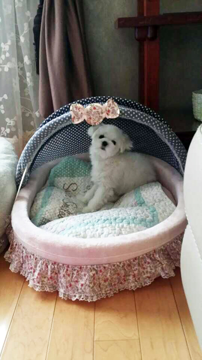 몰라보겠다 은비야~~~~