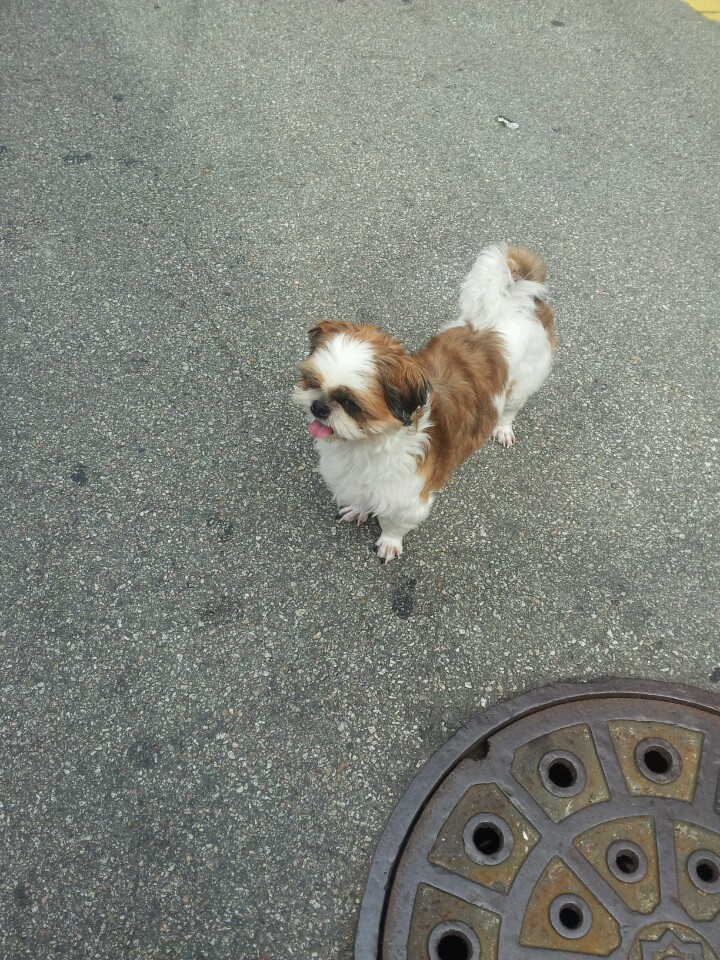 동물자유연대분들 꼭좀봐주세요