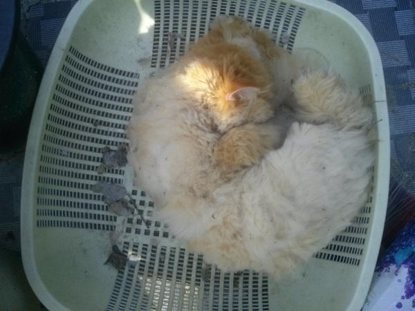 오랜만에 너피소식 전합니다.