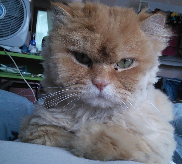 오랜만에 너피소식 전합니다.