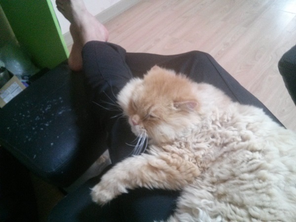 오랜만에 너피소식 전합니다.