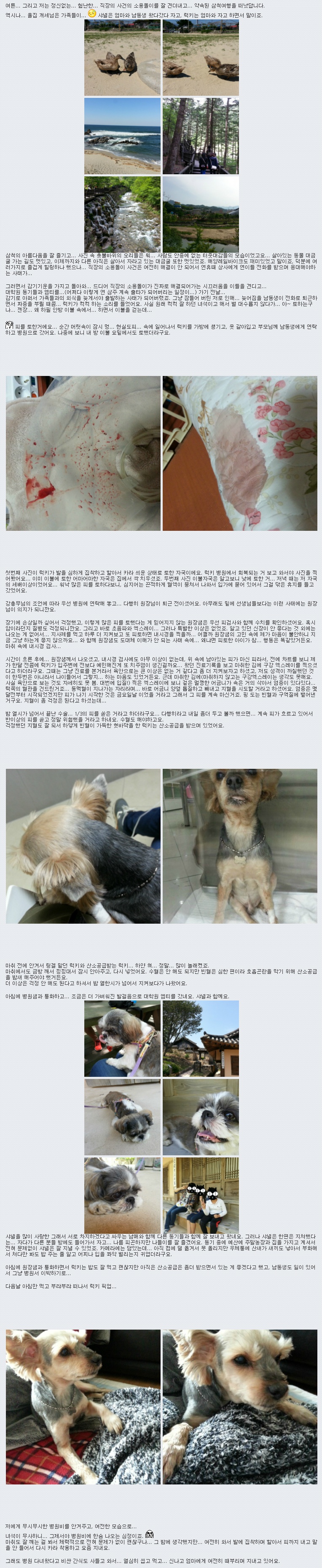 럭키가 저번주에 좀 아펐어요...