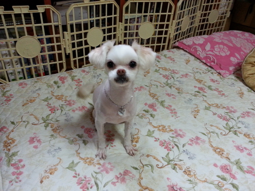 왠지 설이 사진이 없으니 아쉬워서...