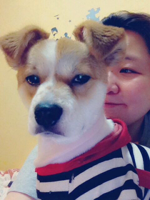 돼지 왔어용!! :)