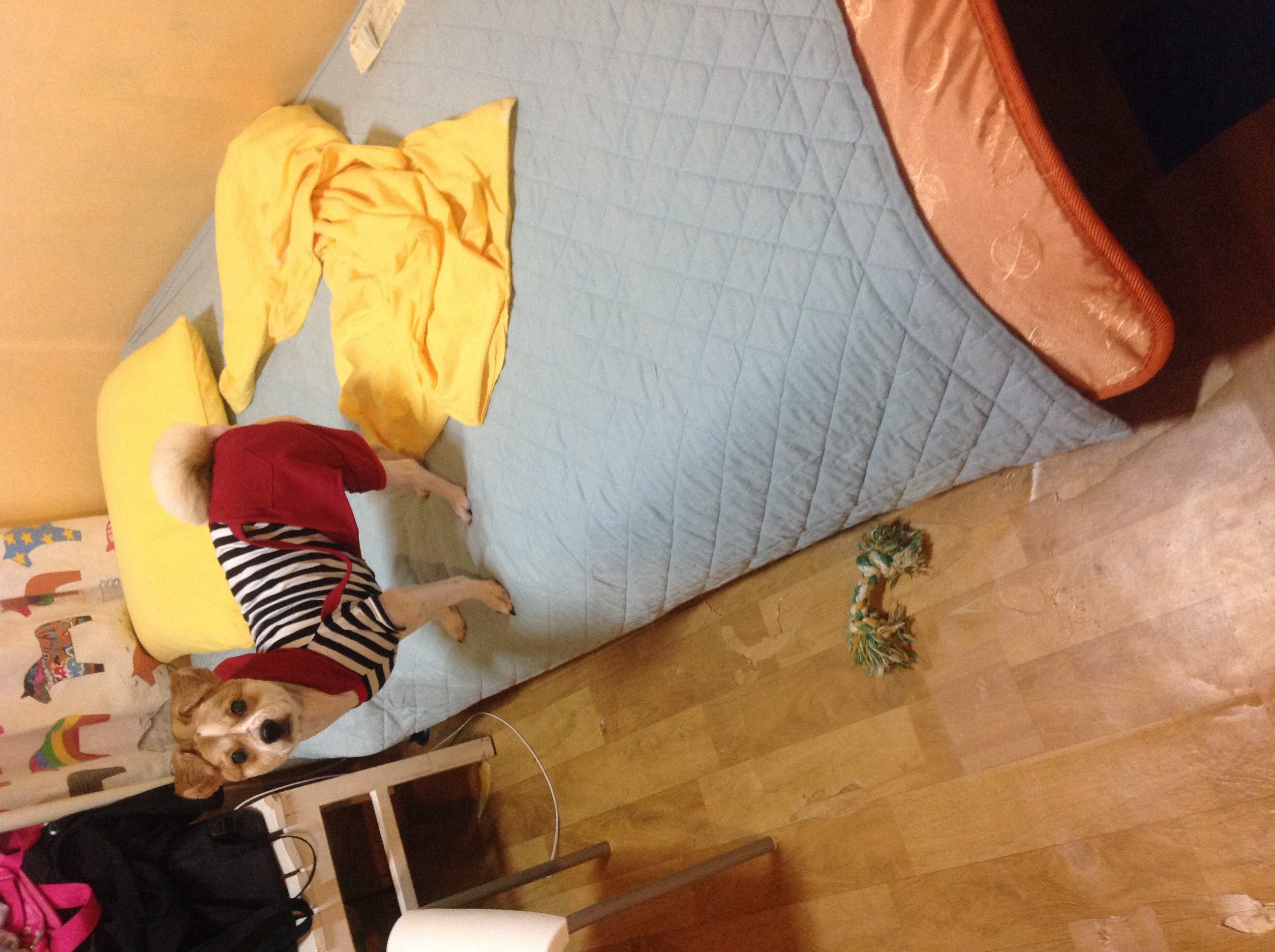 돼지 왔어용!! :)