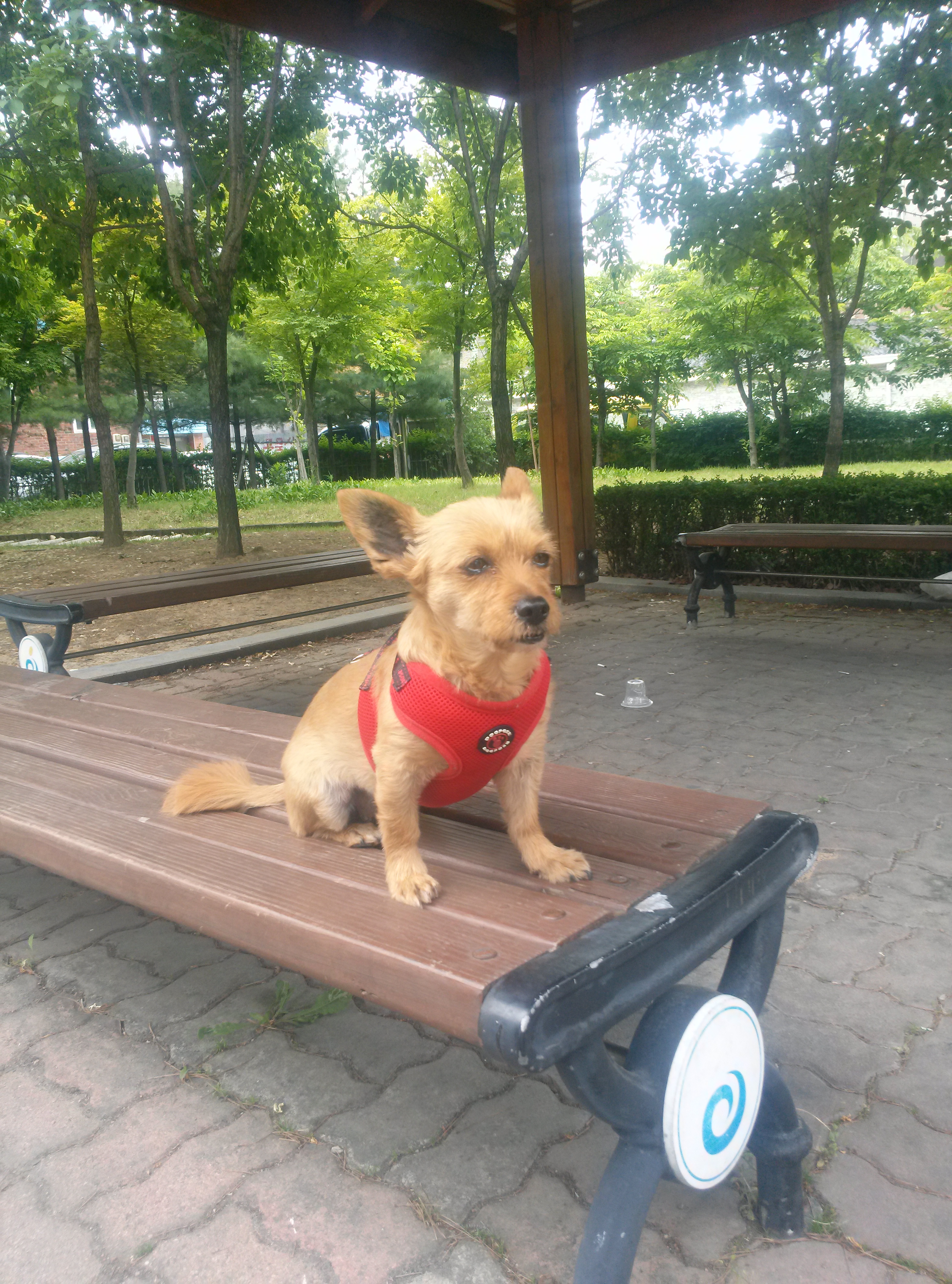 '또미' '우리'하남시 명소 검단산 정상에 오르다!