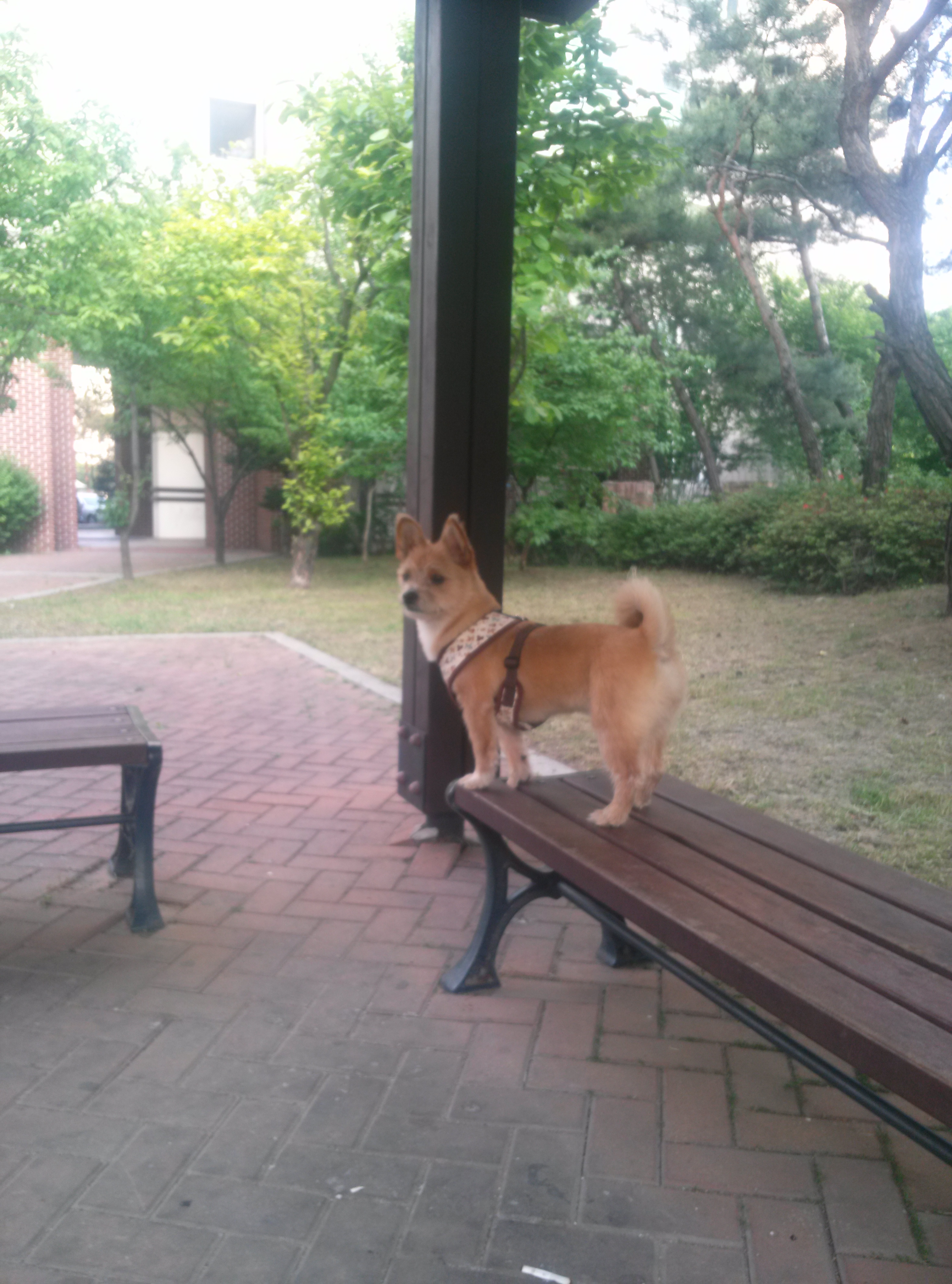 '또미' '우리'하남시 명소 검단산 정상에 오르다!