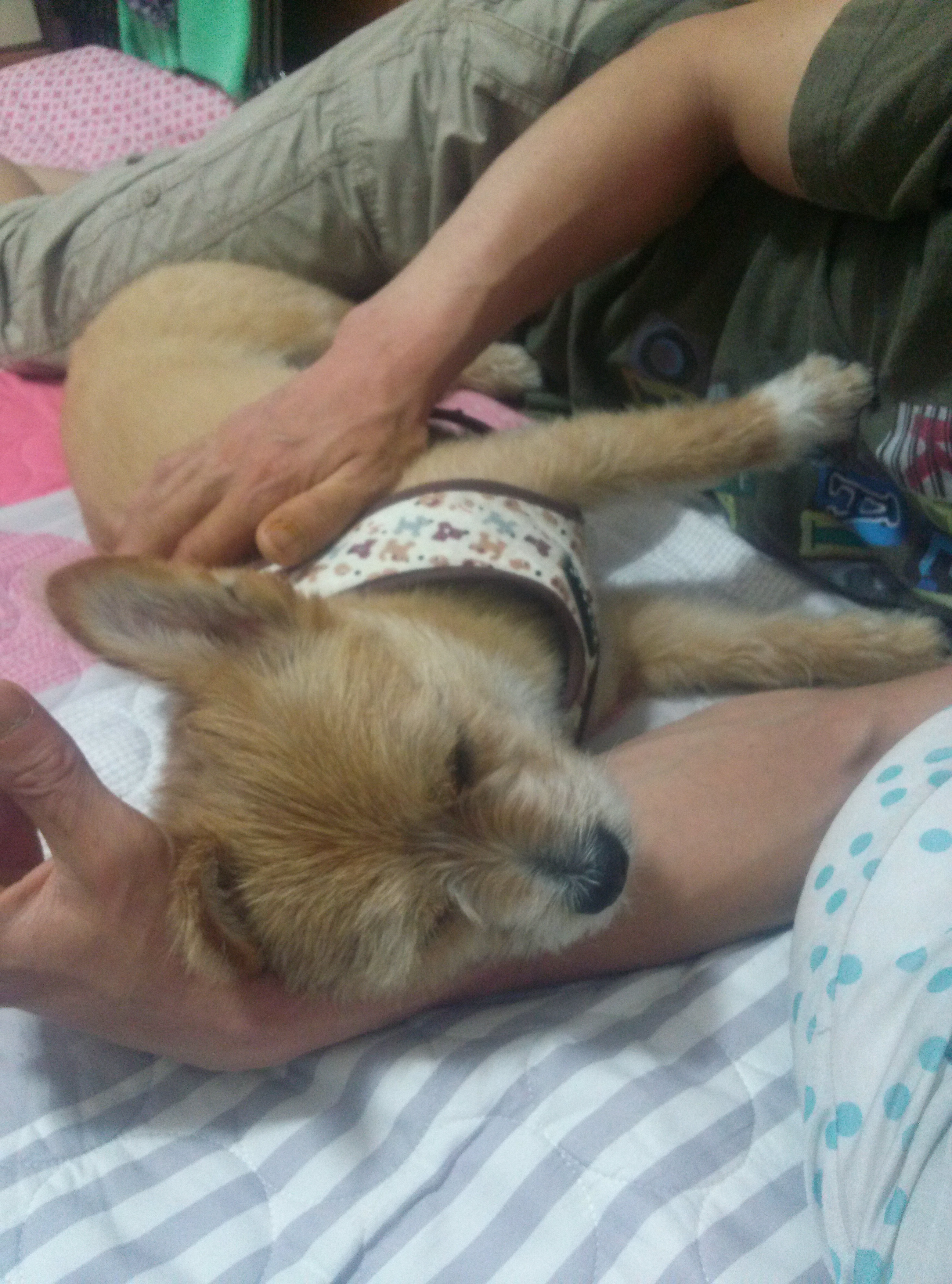 '또미' '우리'하남시 명소 검단산 정상에 오르다!