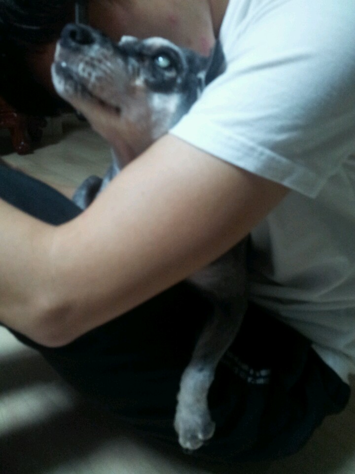 사랑을 빼앗겨 너무도 슬픈 모모