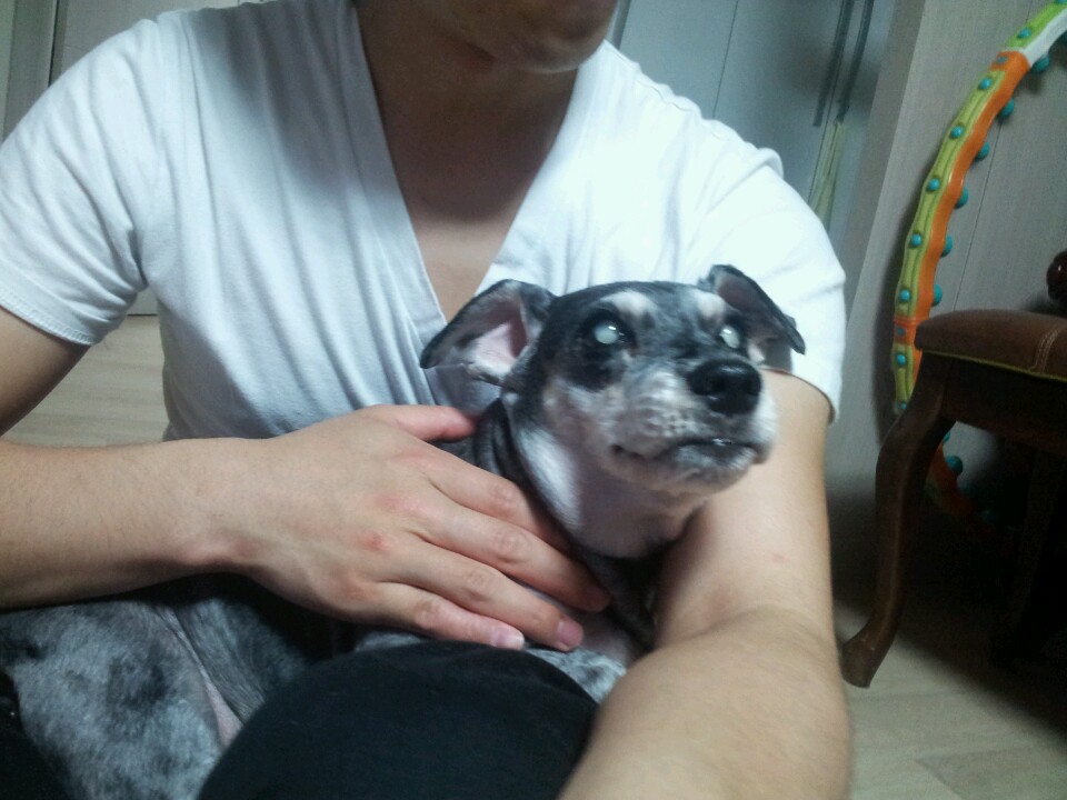 사랑을 빼앗겨 너무도 슬픈 모모