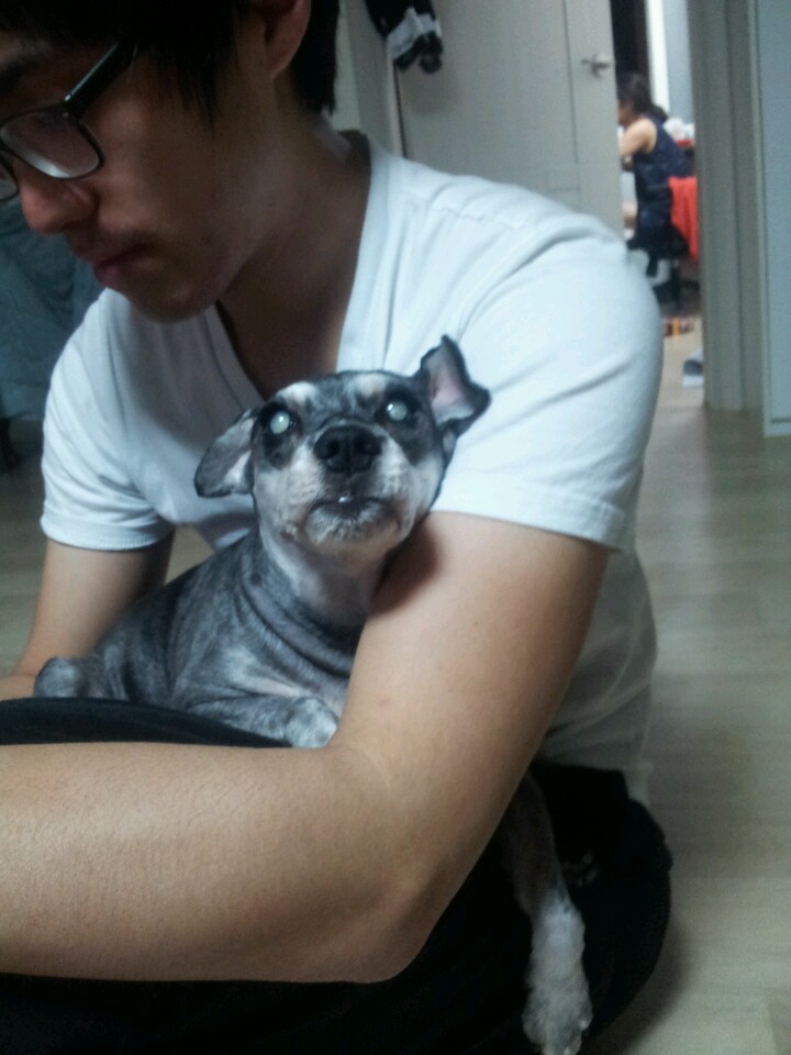 사랑을 빼앗겨 너무도 슬픈 모모