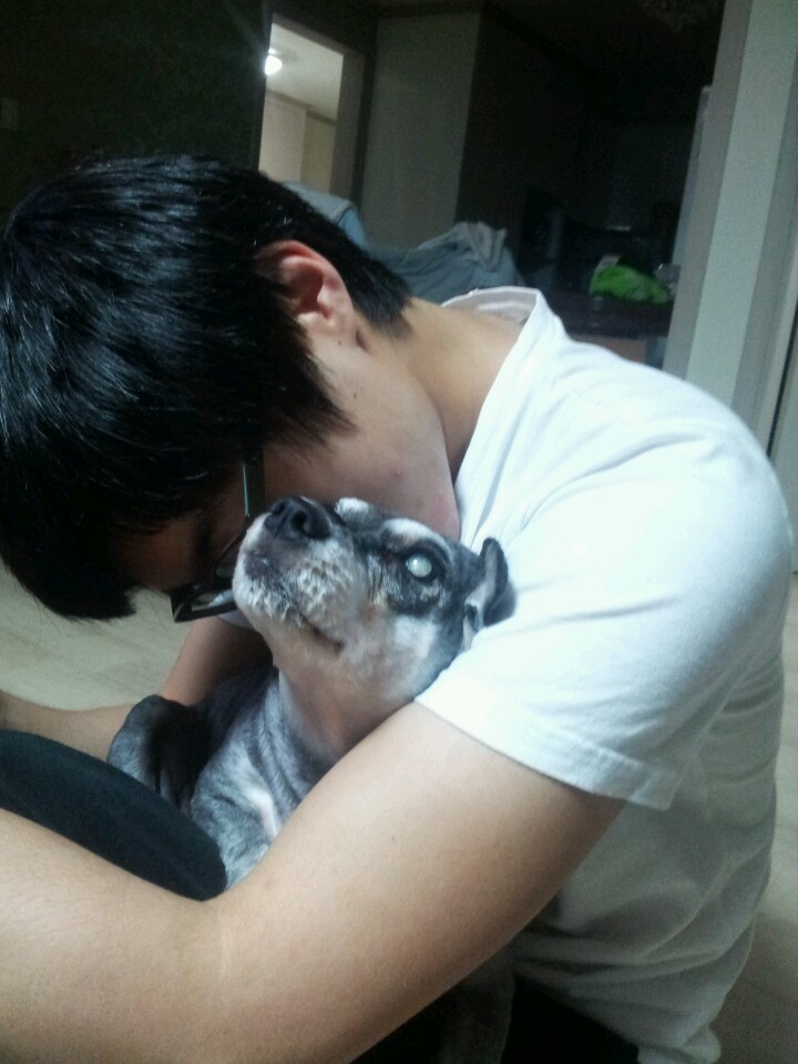 사랑을 빼앗겨 너무도 슬픈 모모