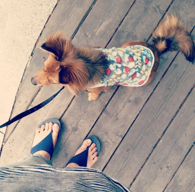 돼지 우리 콩형제와 6남매 김치참치 근황이에요~